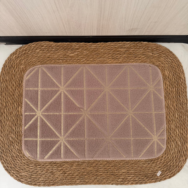 Main entrance mat
