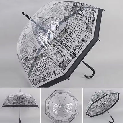 Fashion Transparent Long-handle Rain Umbrella